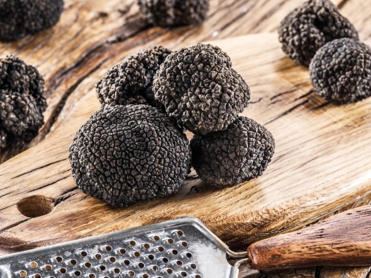 truffes