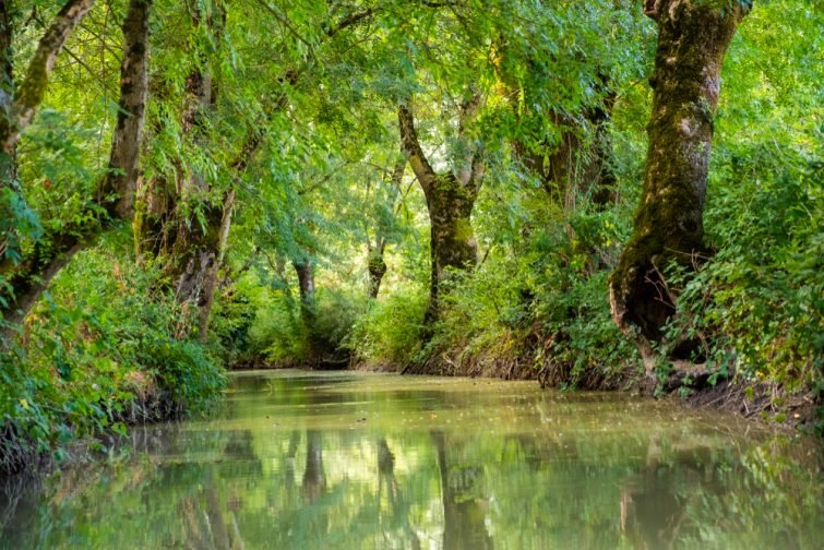 visiter parc du Marais Poitevin