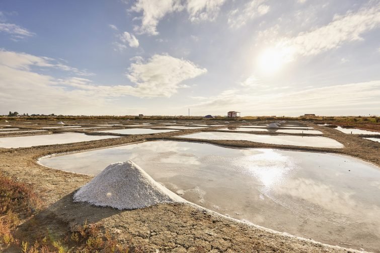 Les marais salants de l'île de Noirmoutier